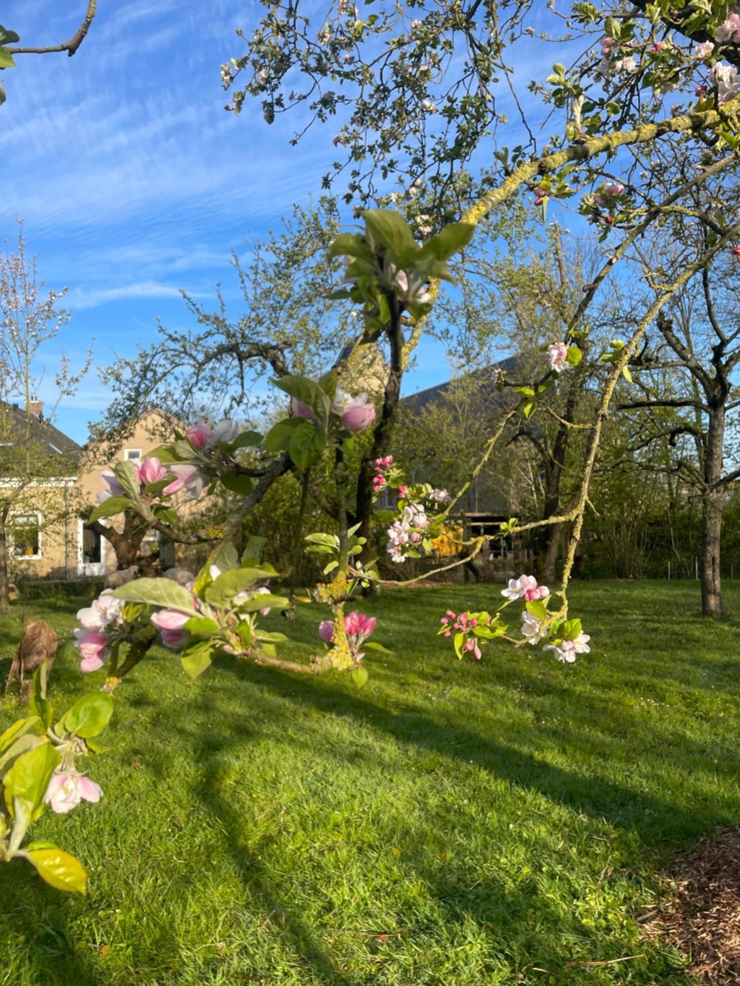 Kimswerd Appartement De Dageraad In Monumentale Boerderij מראה חיצוני תמונה