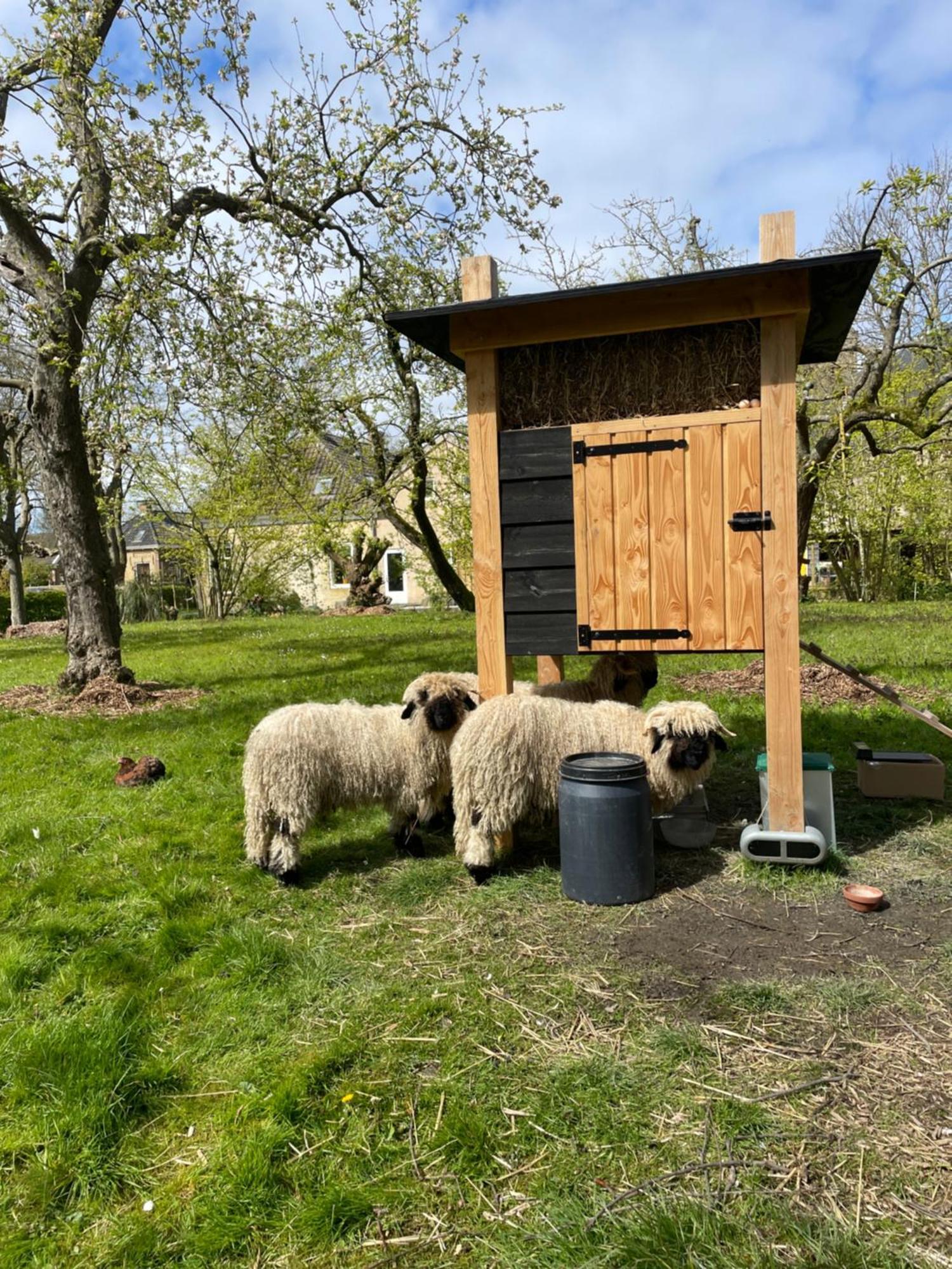 Kimswerd Appartement De Dageraad In Monumentale Boerderij מראה חיצוני תמונה